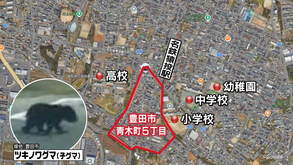 サムネイル
