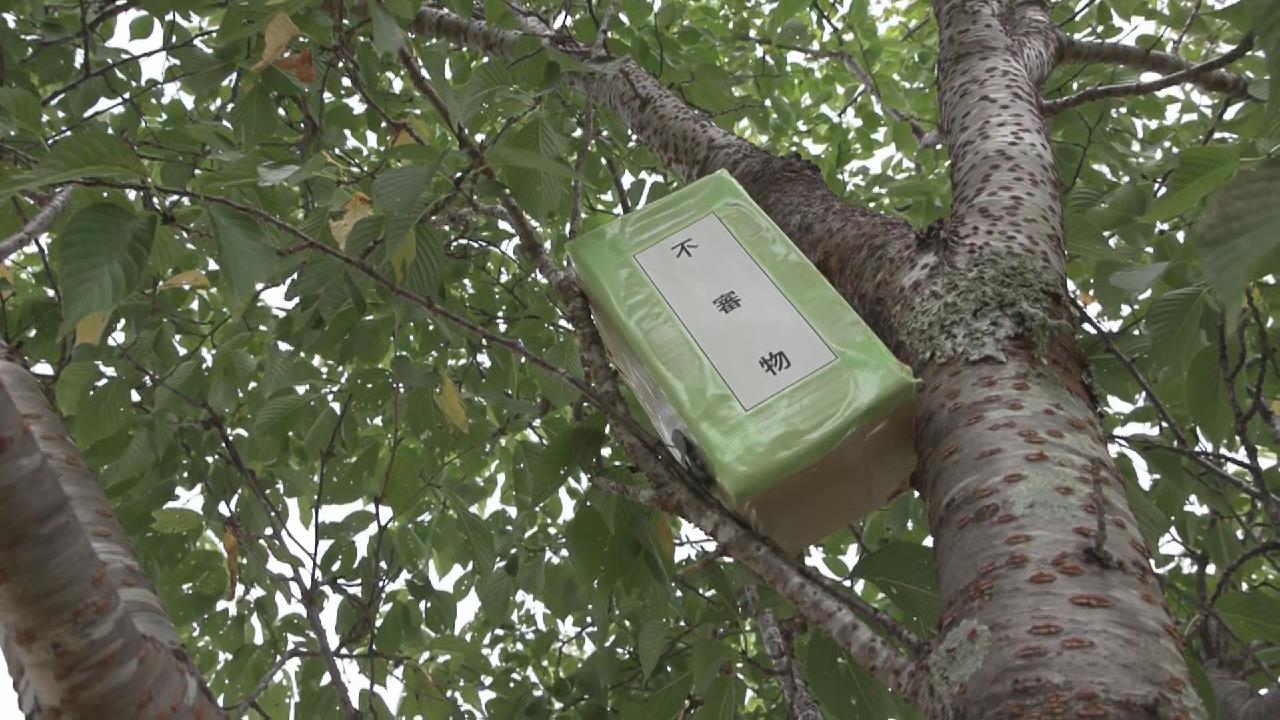 サムネイル
