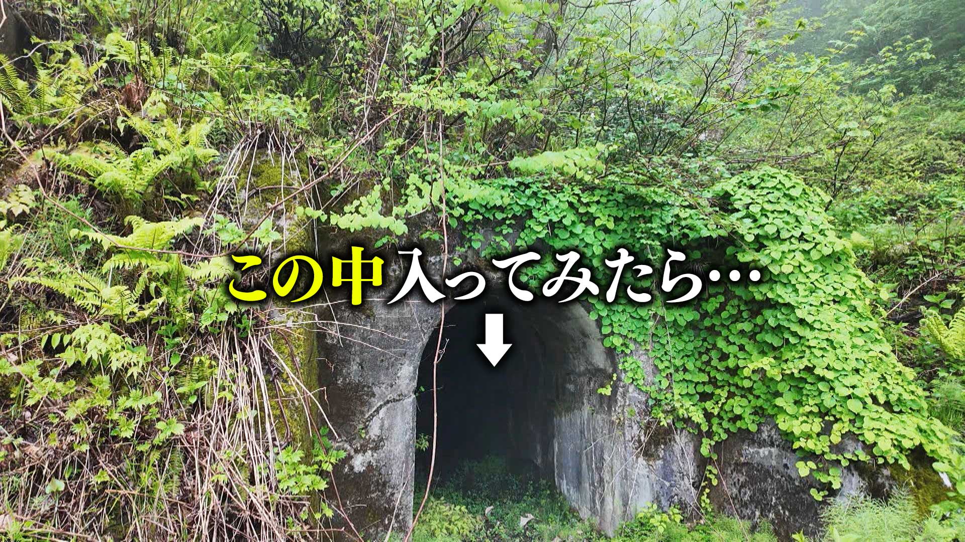 雪国に眠る謎？の道▼山に断絶された村を救った道