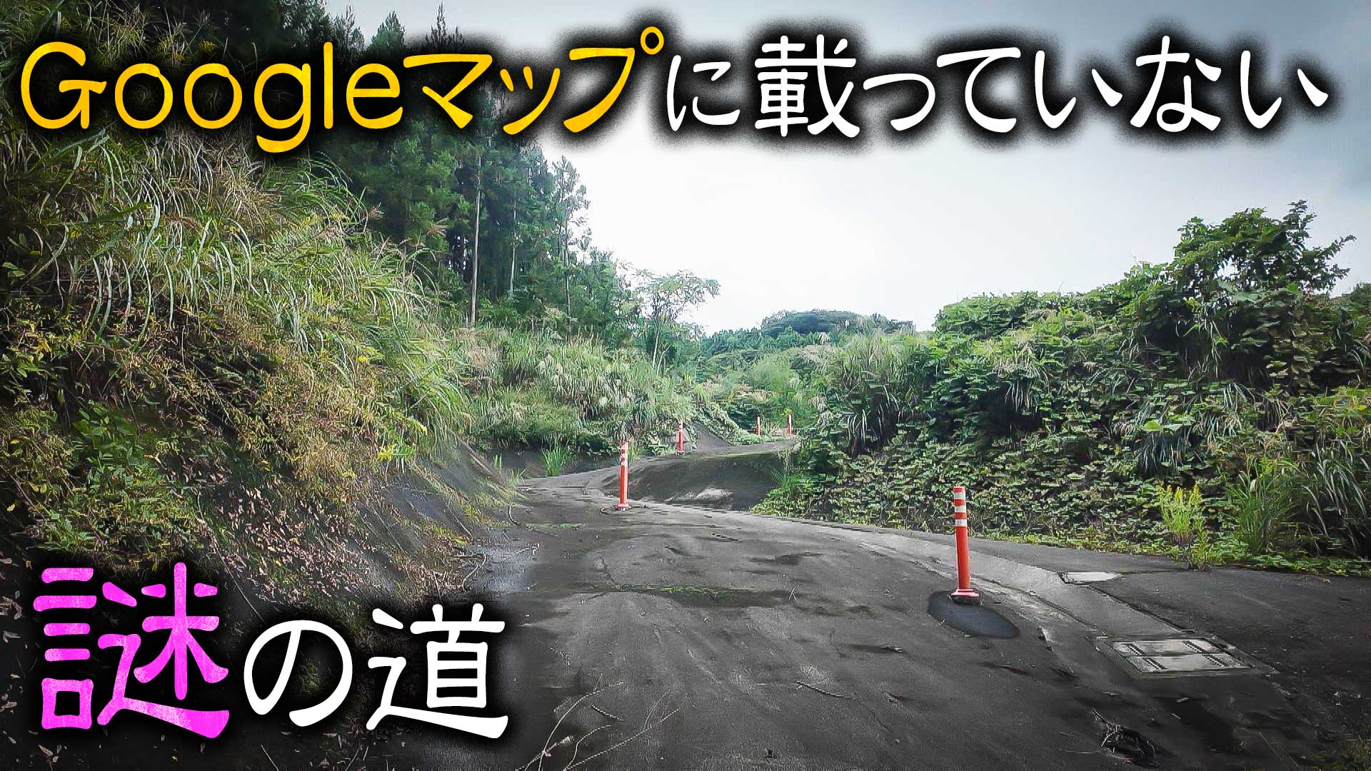 高速道路にまつわる謎★愛知・豊橋グルメ旅