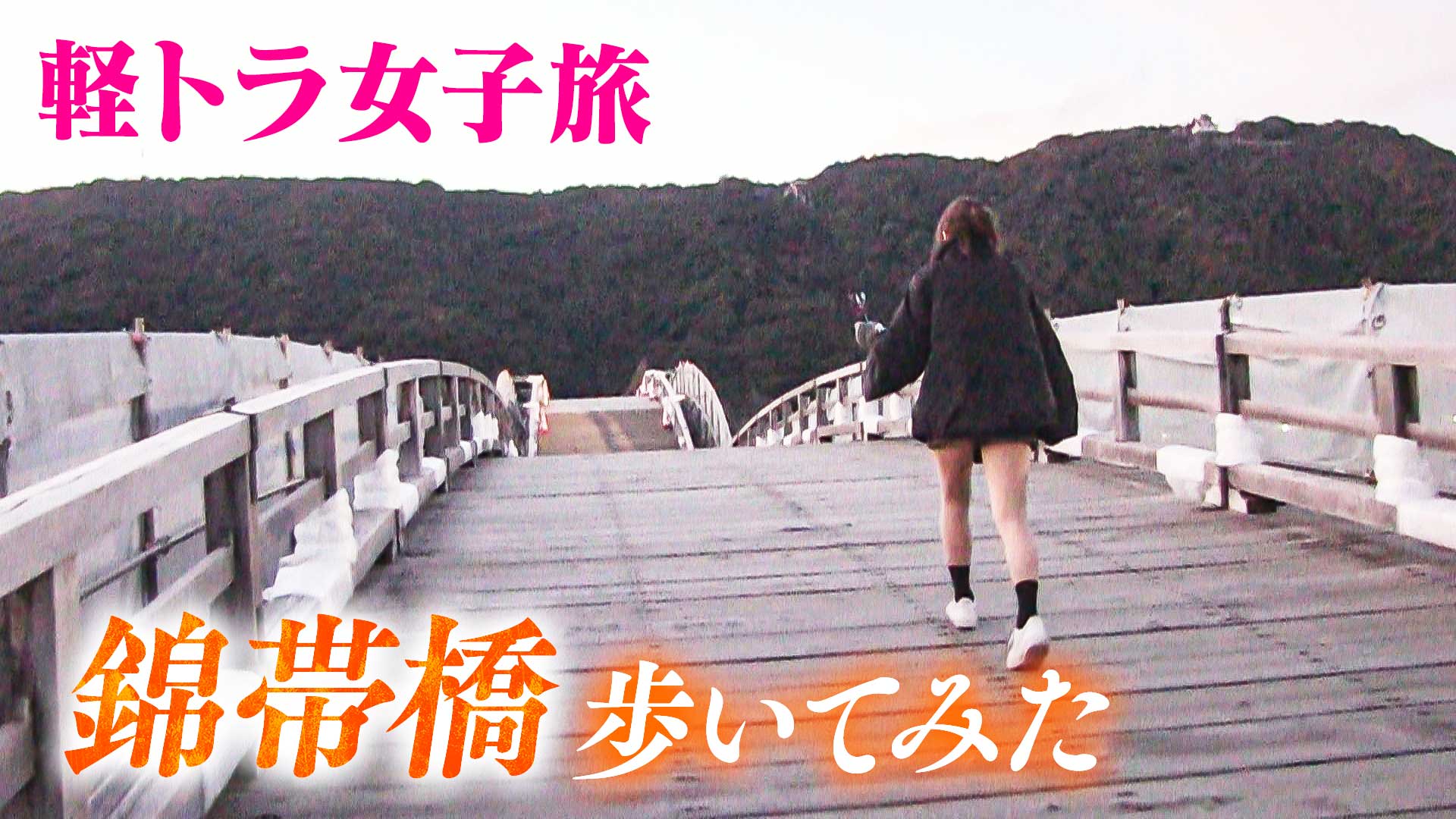 愛知の高さ７０メートルの橋に特別潜入▼名古屋の桜の道