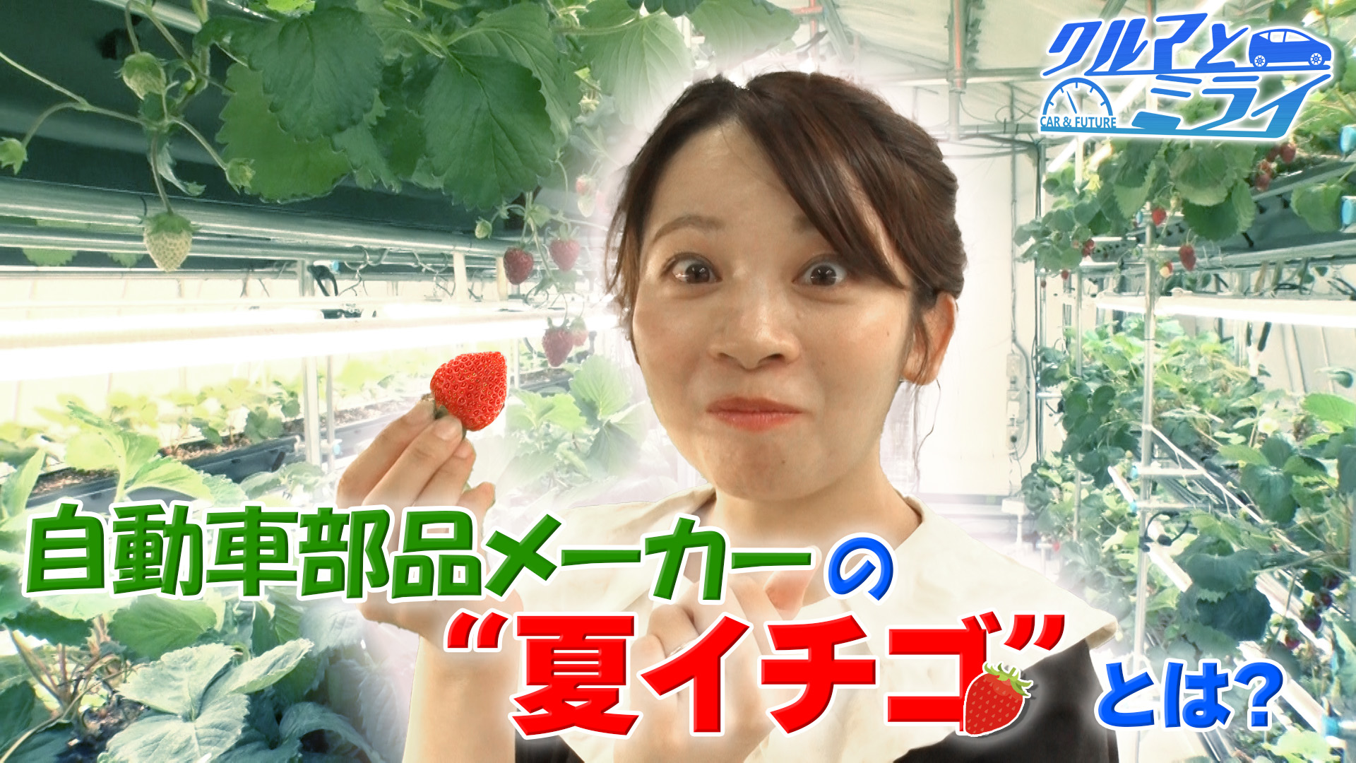 自動車部品メーカーの“夏イチゴ計画”
