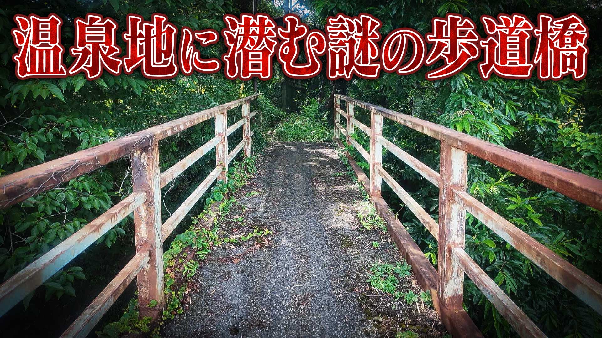 必見！謎の４つの歩道橋