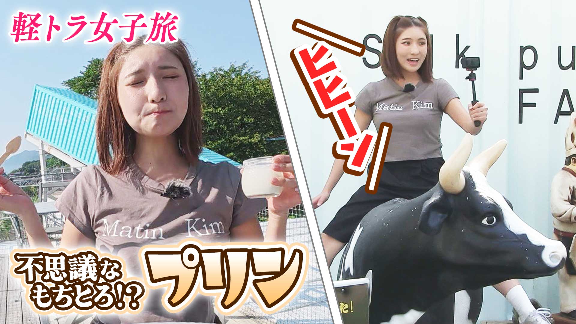 愛知・半田にある日本一？〇〇な道