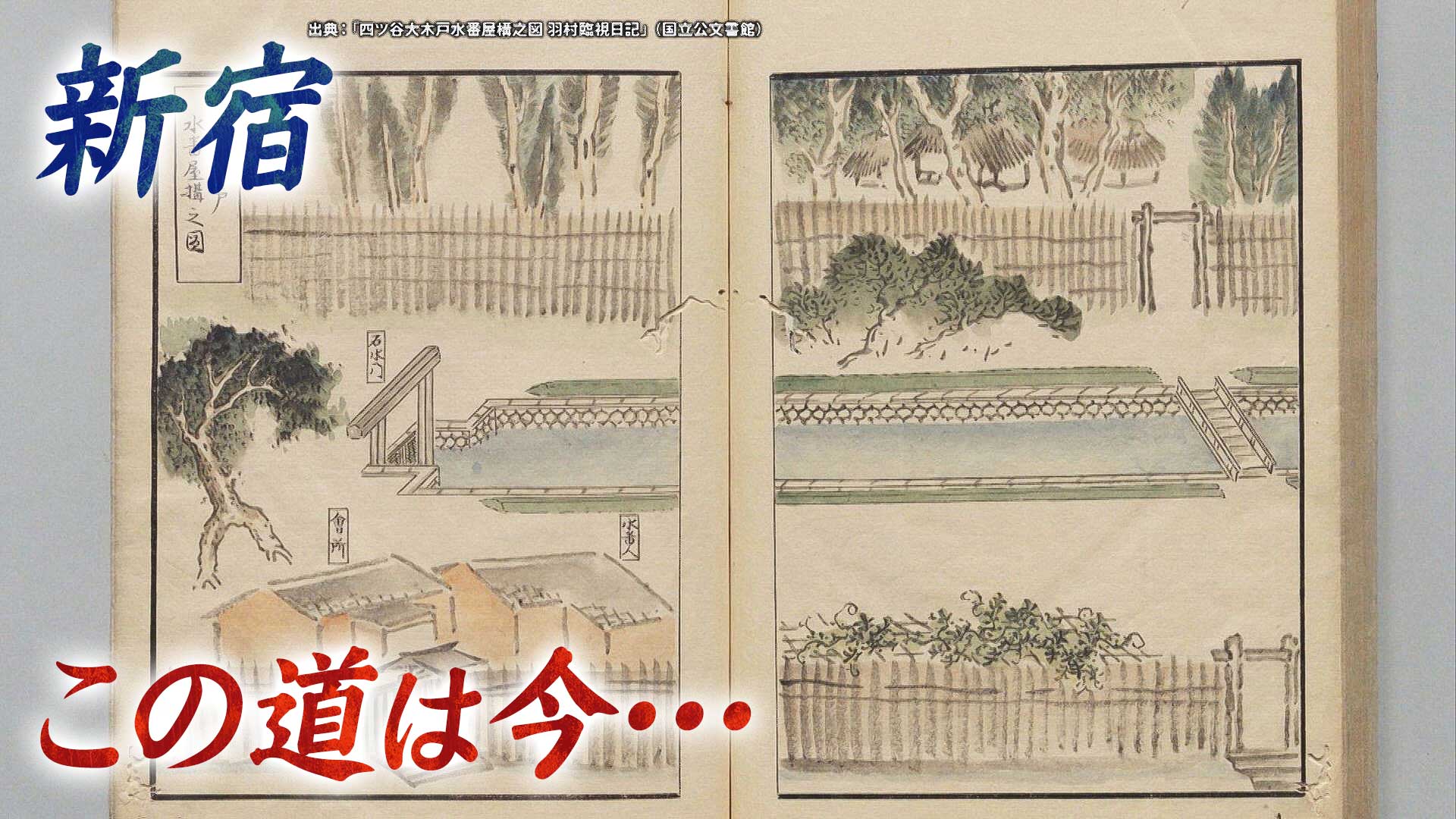 新宿の秘密▼福井の日本で唯一の道