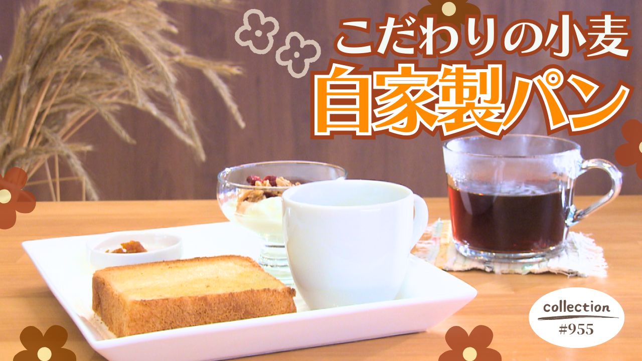 水・木・金限定！小麦にこだわりの自家製パンモーニング【東海３県・モーニングにメ～ロメロ！】Collection No.９５５