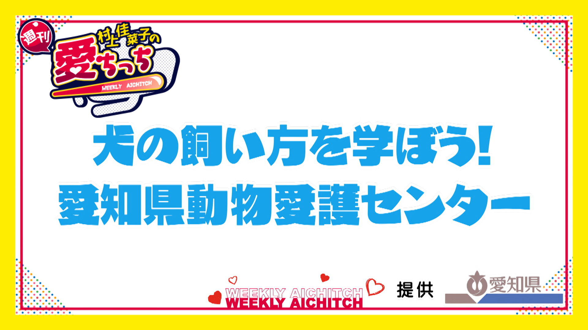 ＜村上佳菜子の週刊愛ちっち＞犬の飼い方を学ぼう！ 愛知県動物愛護センター