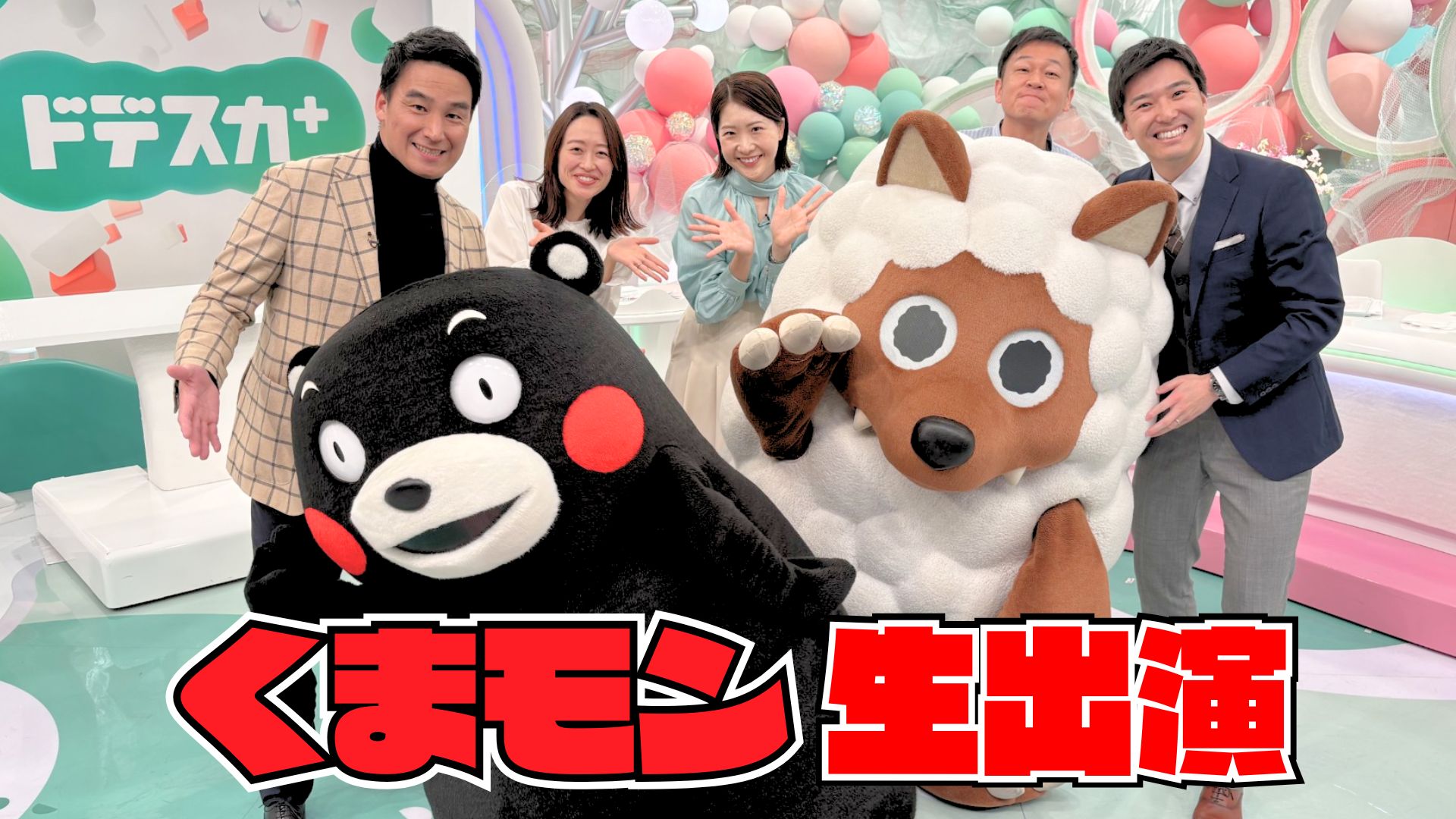【ノーカット】くまモンがドデスカ+に生出演！キレッキレッの動きでスタジオ大盛り上がり！ウルフィと一緒にクイズを出題ウルフィと一緒にクイズを出題