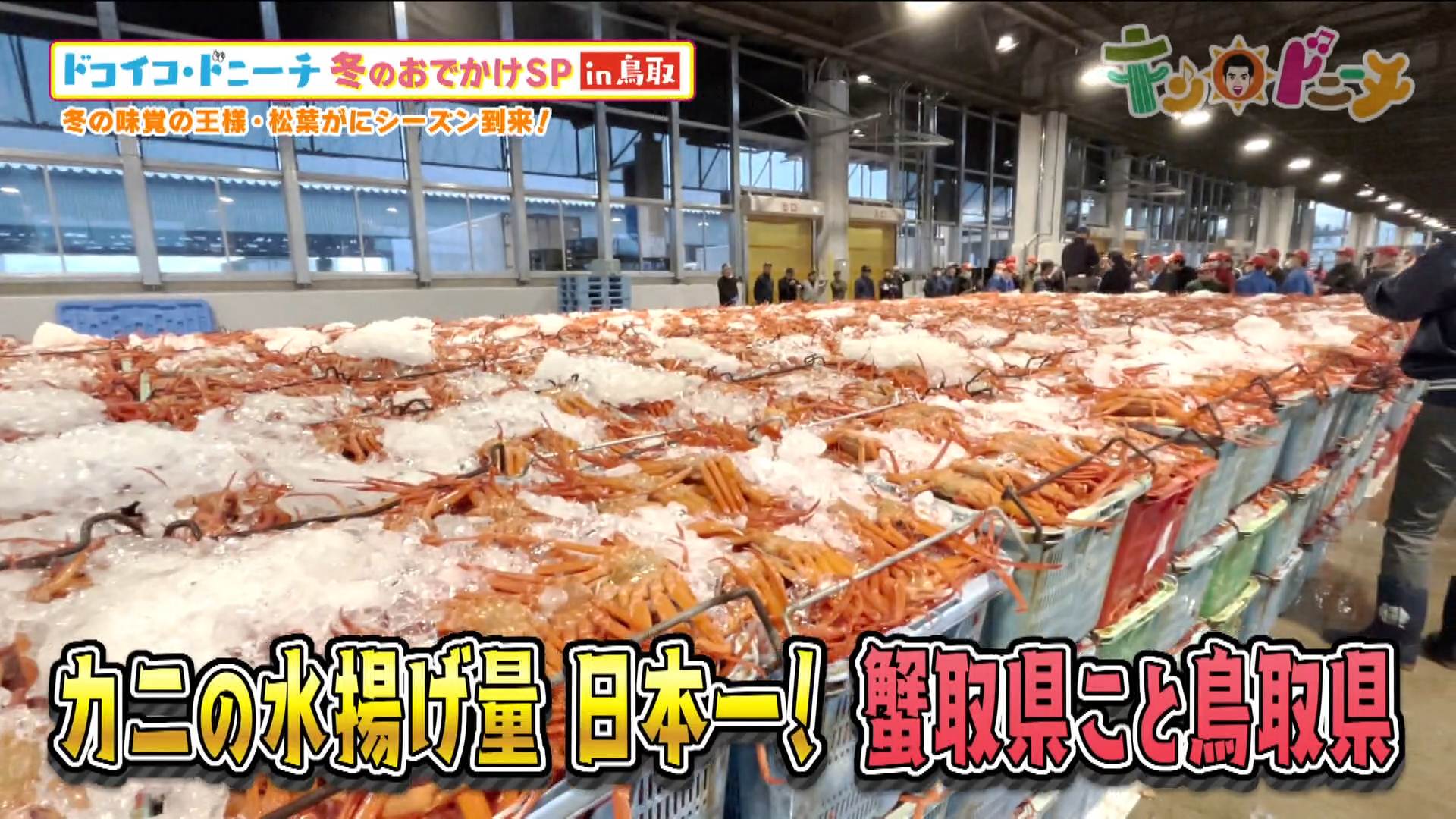 キン・ドニーチ（2026年1月16日放送）