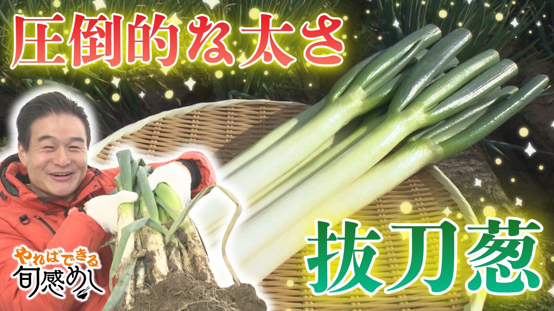 刀のような白さと太さ！寒さと共に甘みが増す！「抜刀葱」愛知・西尾市 サムライ農園【やればできる旬感めし】