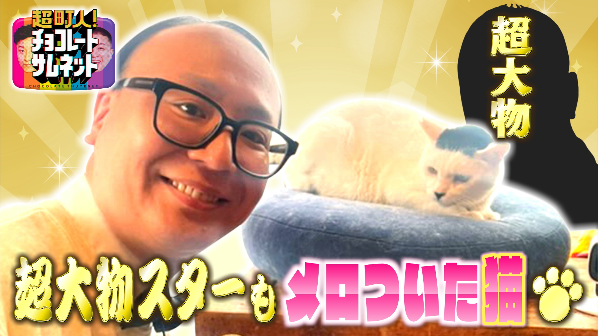 SNSでバズった猫に超大物スターがメロメロ♡