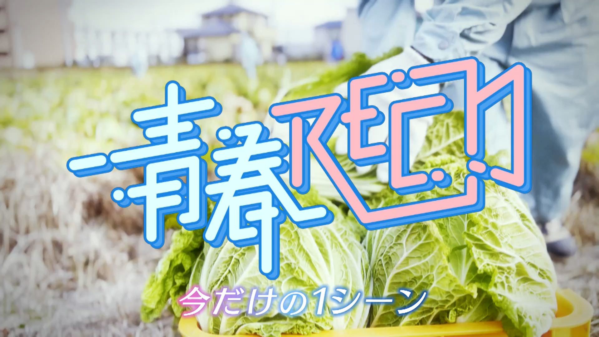 青春ＲＥＣ～今だけの１シーン～ 【安城農林高等学校】後編 2026/02/24 OA