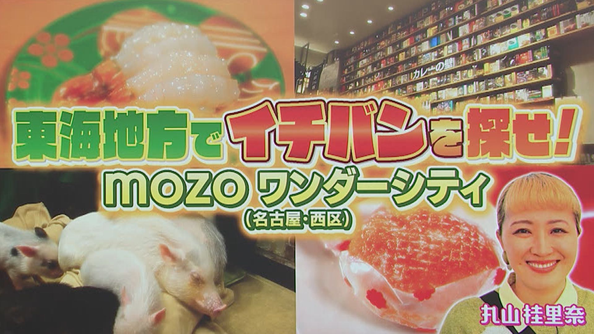 スイッチ！サタデー mozoワンダーシティでイチバン探し　2026/02/14 OA