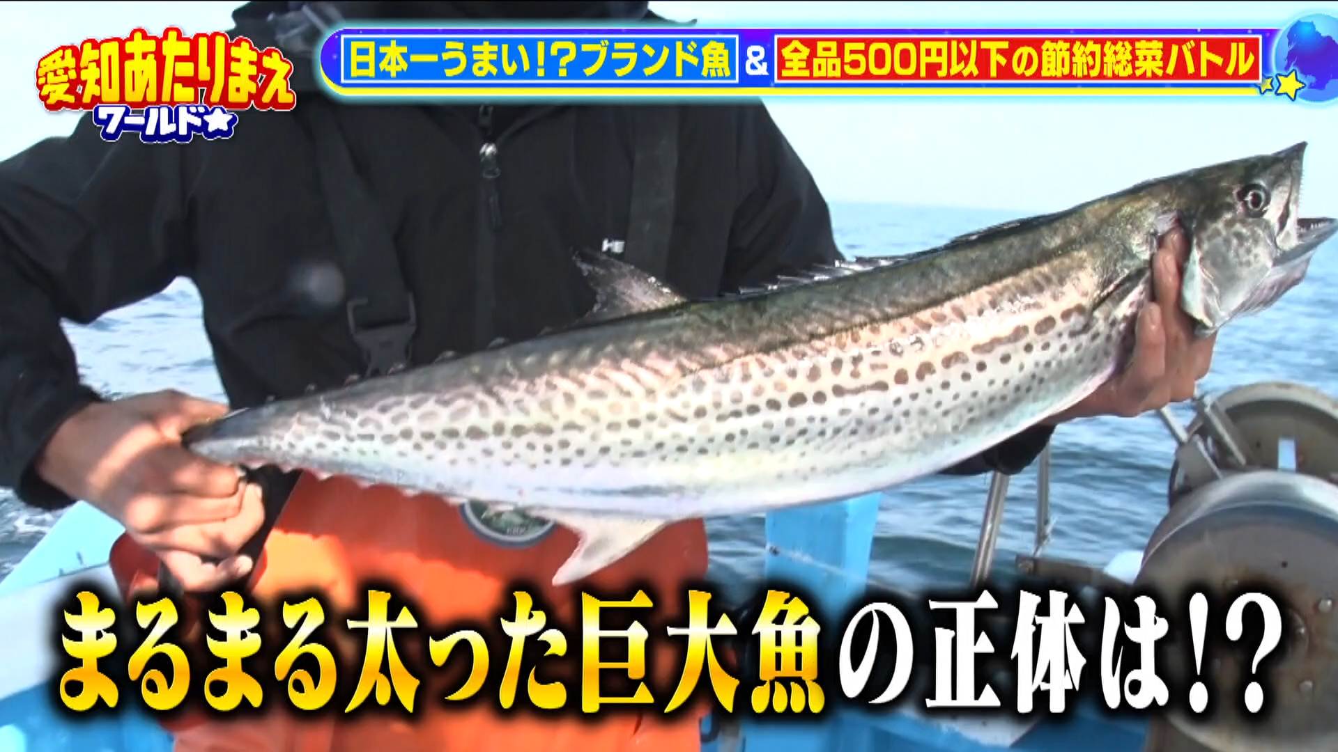 奇跡の巨大魚＆激安総菜バトルSP