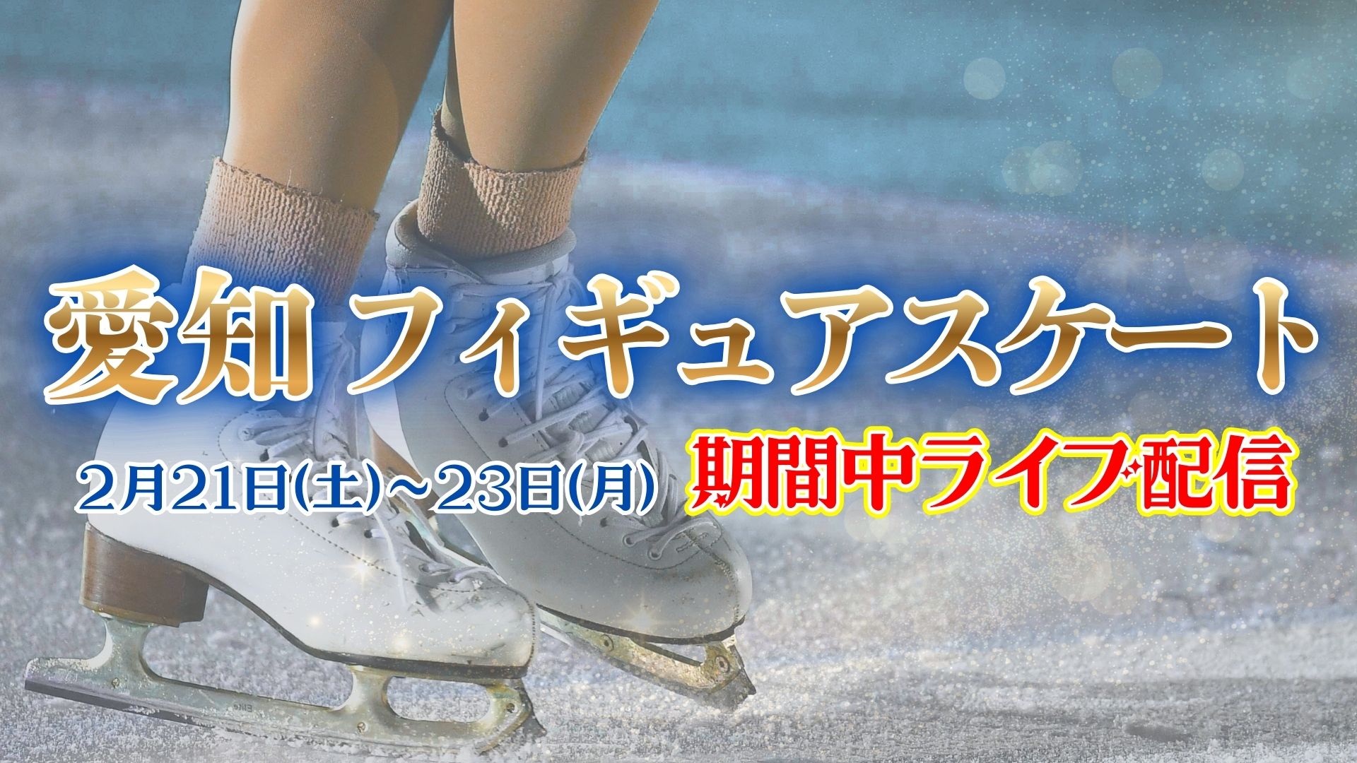【愛知フィギュア・アーカイブ21日】フィギュア王国・愛知で開催！注目スケーターたちの華麗な滑りをお届け