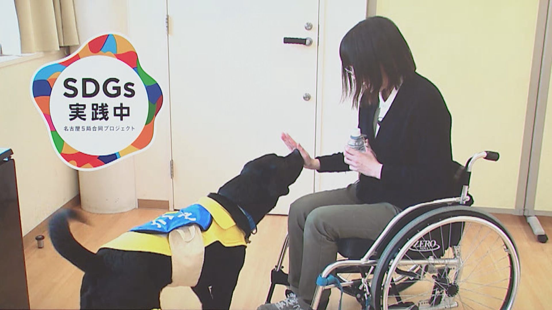 スイッチ！ SDGｓ実践中 ～ 介助犬総合訓練センター  シンシアの丘 ～　2026/03/02 OA