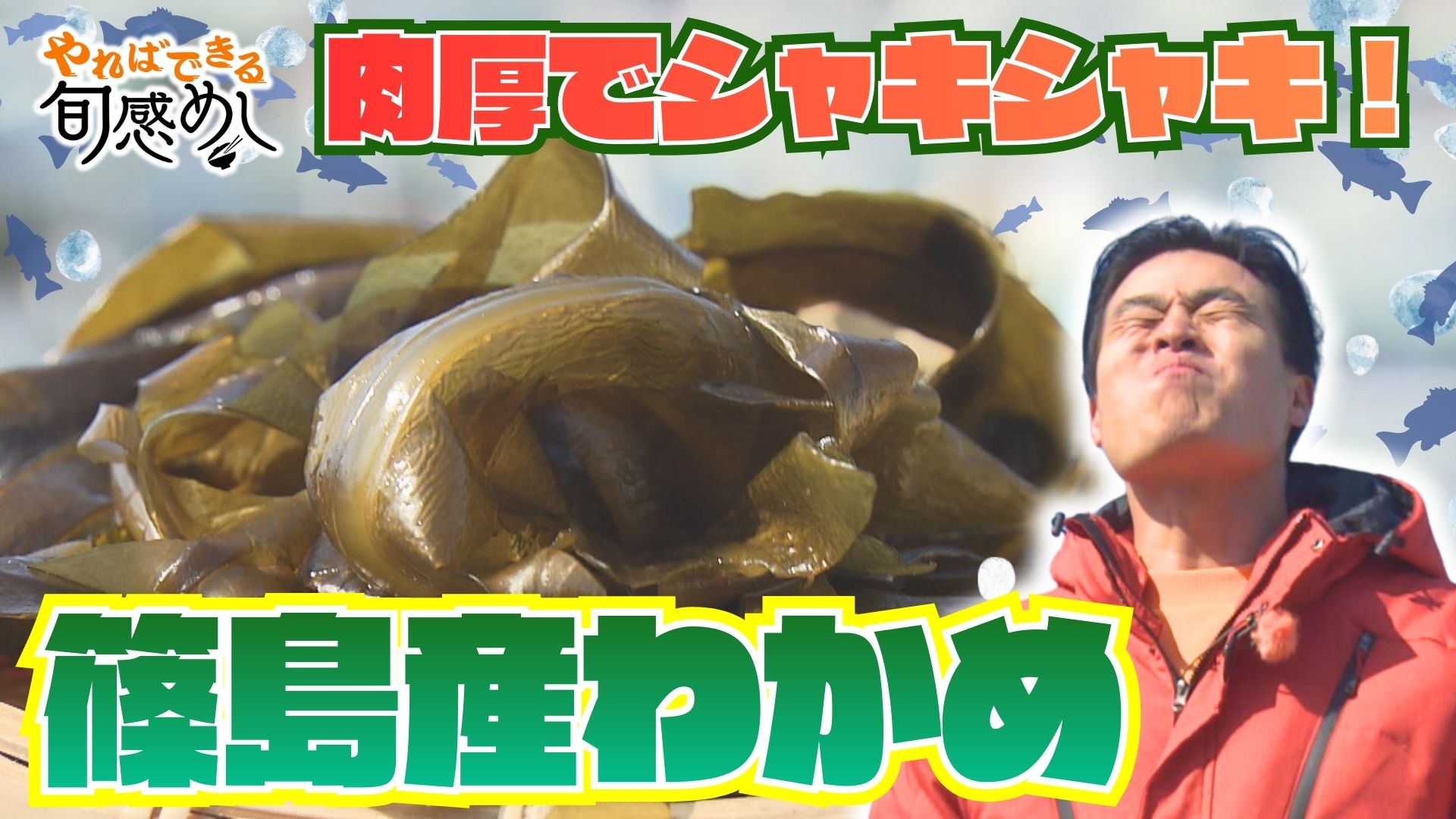 肉厚でシャキシャキ！ 歯ごたえ抜群の愛知・篠島産わかめを味わう　漁師が絶賛する新芽とは？【やればできる旬感めし】