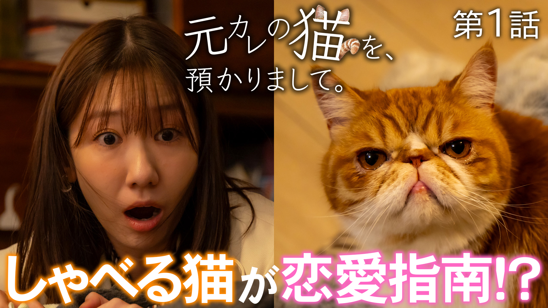土ドラ特別企画『元カレの猫を、預かりまして。』＃１ しゃべる猫が恋愛指南！？