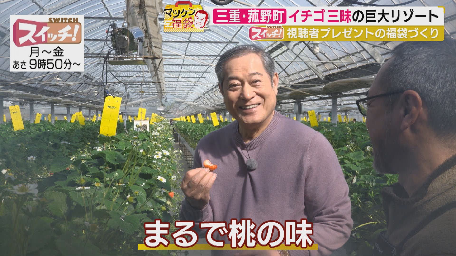 マツケン福袋　~ 三重・菰野町（アクアイグニス） ~　2026/03/09 OA