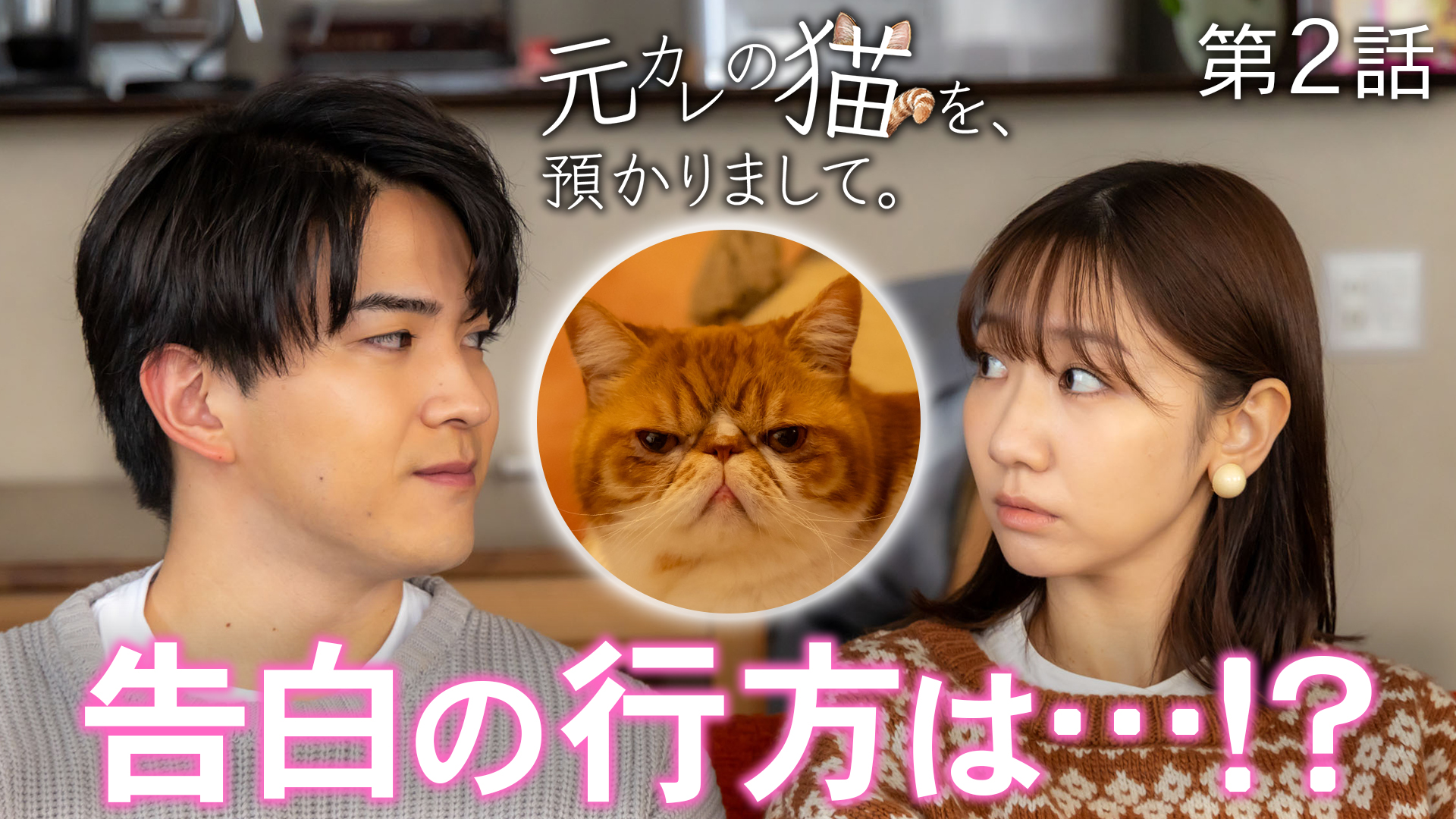 土ドラ特別企画『元カレの猫を、預かりまして。』＃２ 人間はめんどうくさい！？