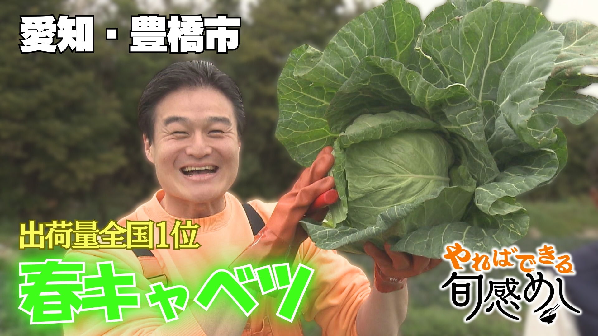 畑で水分補給！？豊橋の春キャベツを生で食べた衝撃　【やればできる旬感めし】