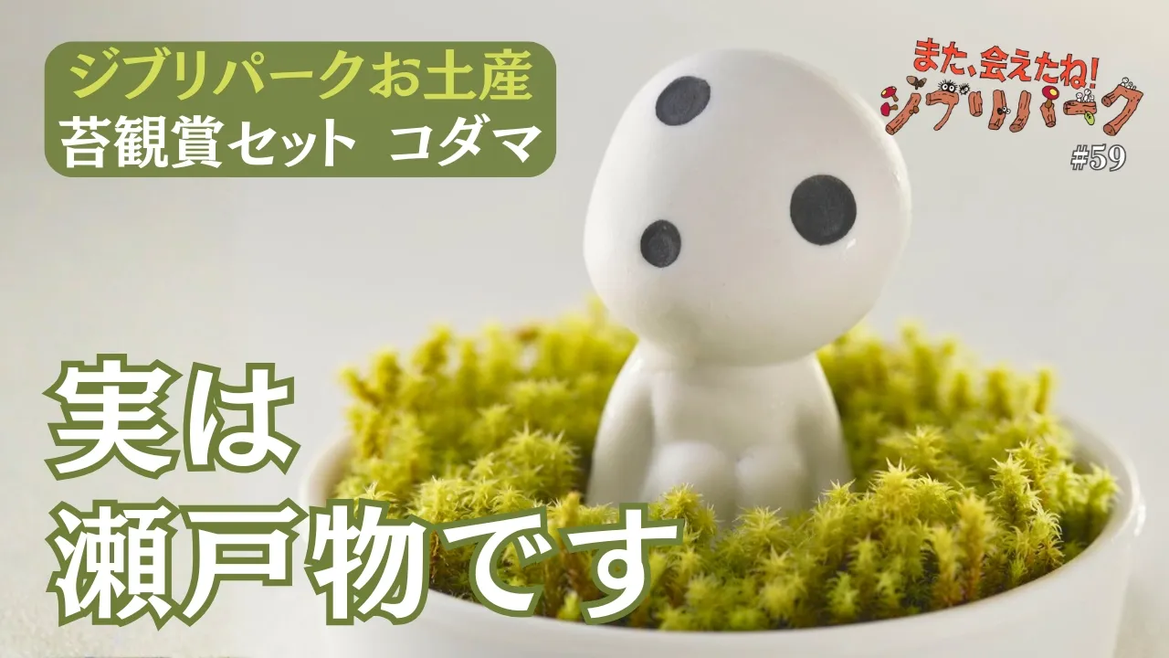 実は瀬戸物だった｜ジブリパークのお土産「コダマ」の誕生秘話 ｢また