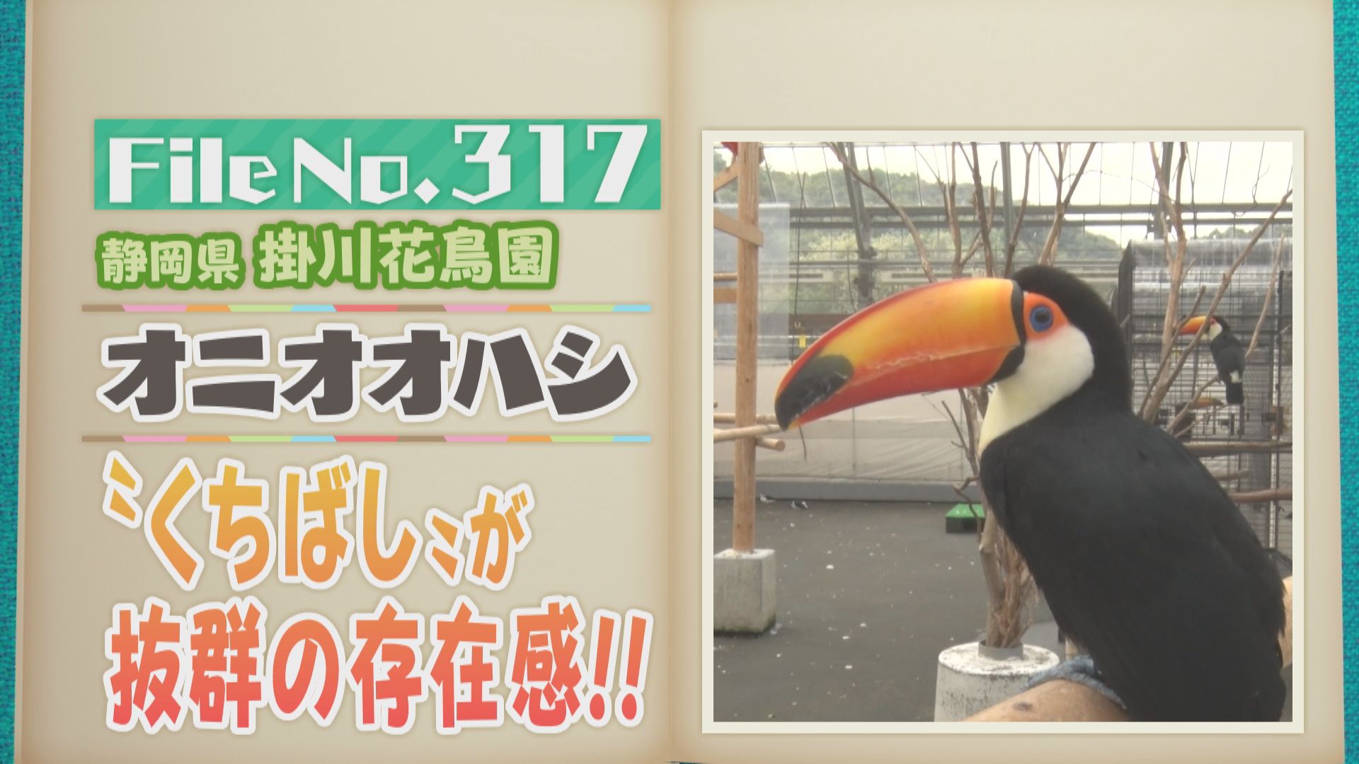 名古屋から約90分！掛川花鳥園の人気者オニオオハシは巨大なくちばしが