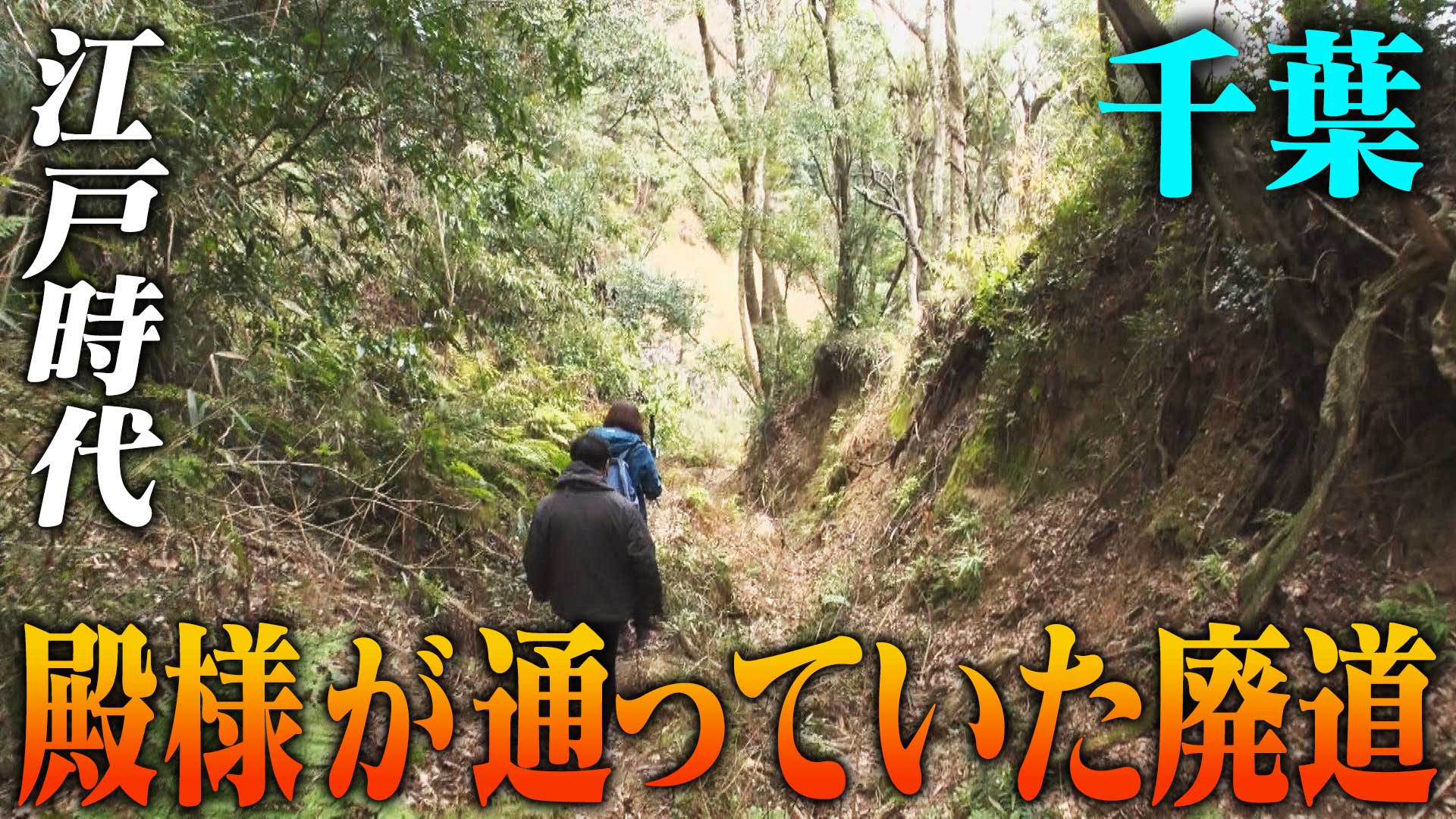 幻の道▼殿様が通った道▼道と自分さえあれば他に何もいらない