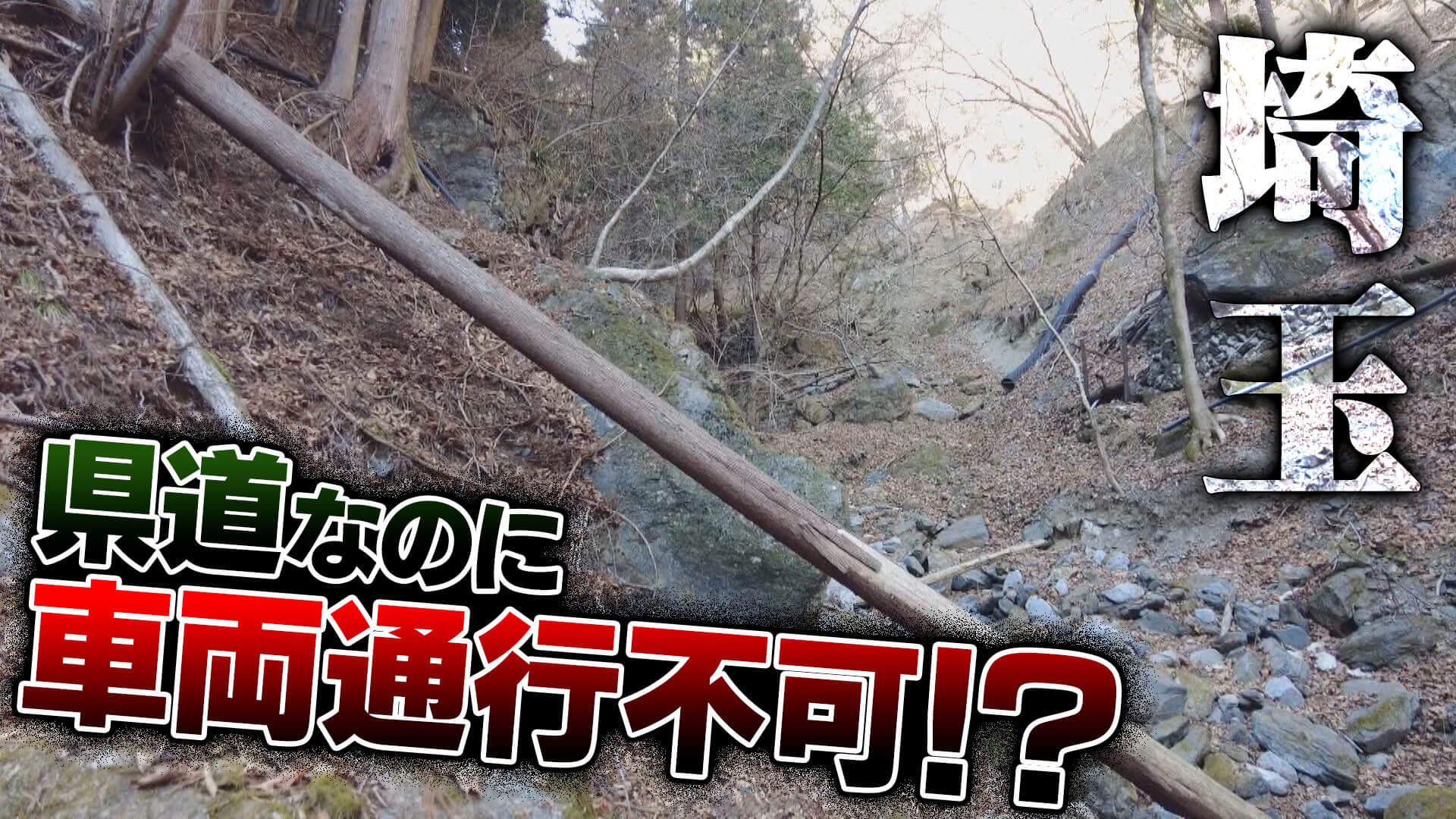 鳥首峠▼車が通れない県道タロット占い師が行ってみると▼知多半島
