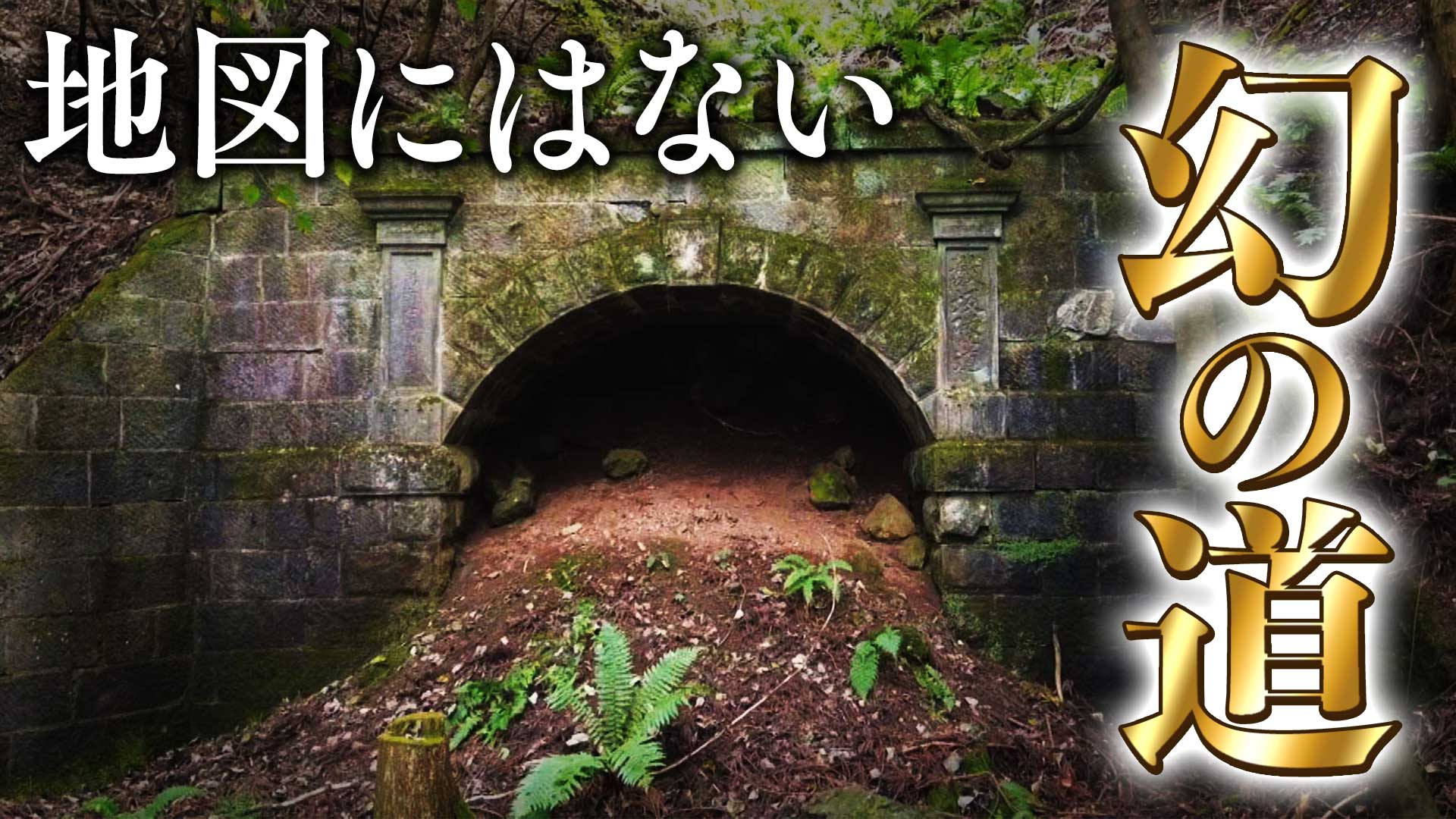 まさかの涙「初めて番組に出てて良かったと思った」