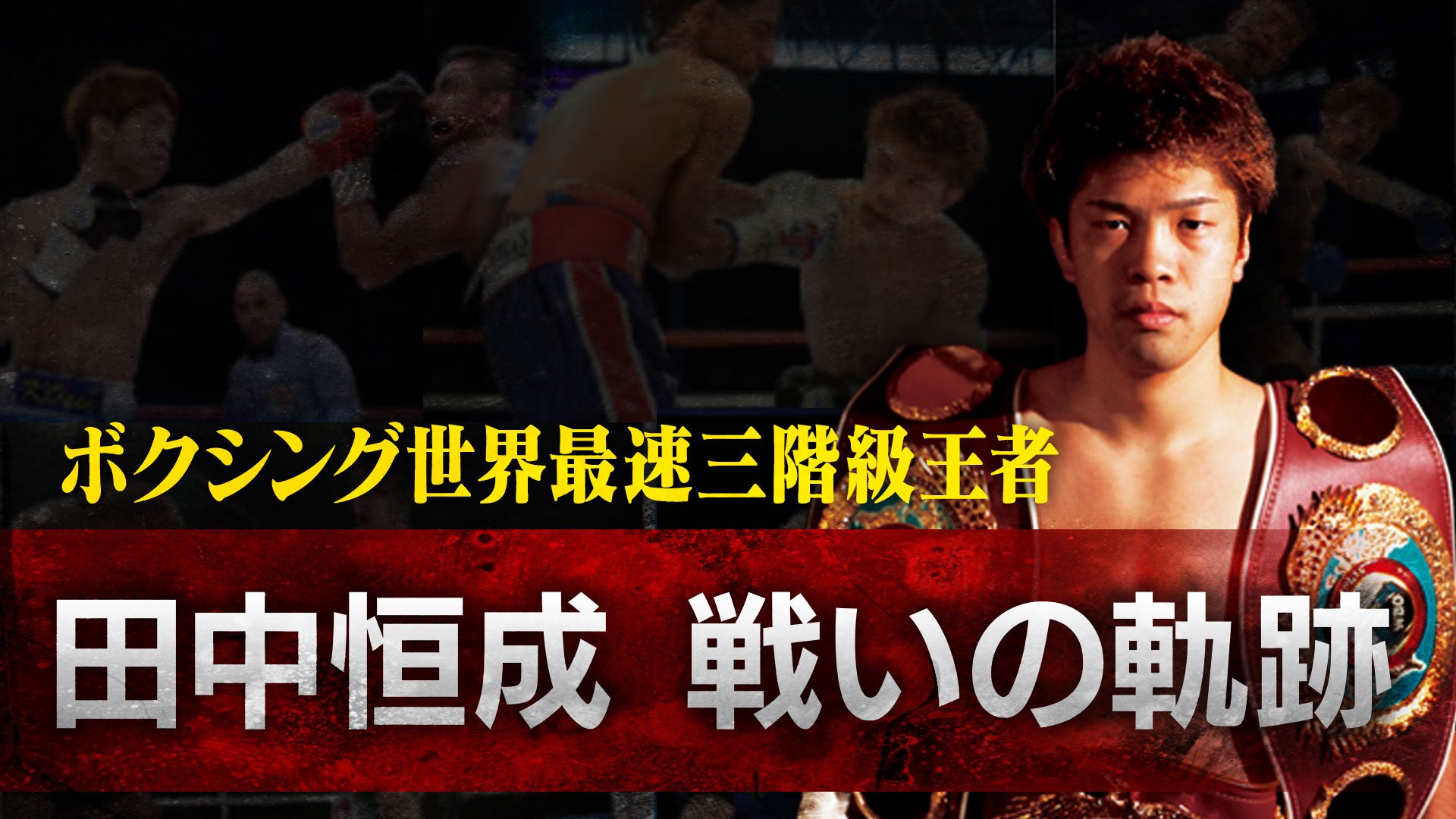 田中恒成 ～世界戦ハイライト#5～ WBO世界フライ級挑戦vs木村翔
