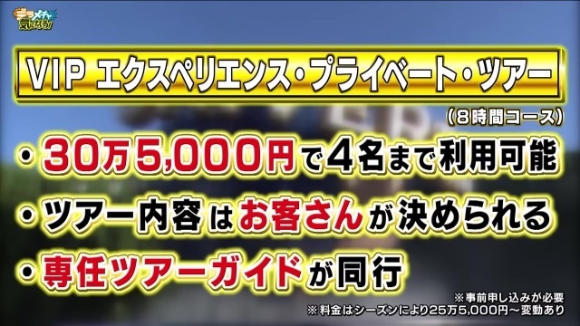 ユニバーサルスタジオジャパンで超VIP体験！大人気アトラクションも