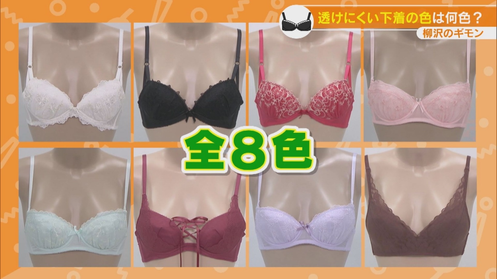 活動歴および当時の関連ビジュアル記録