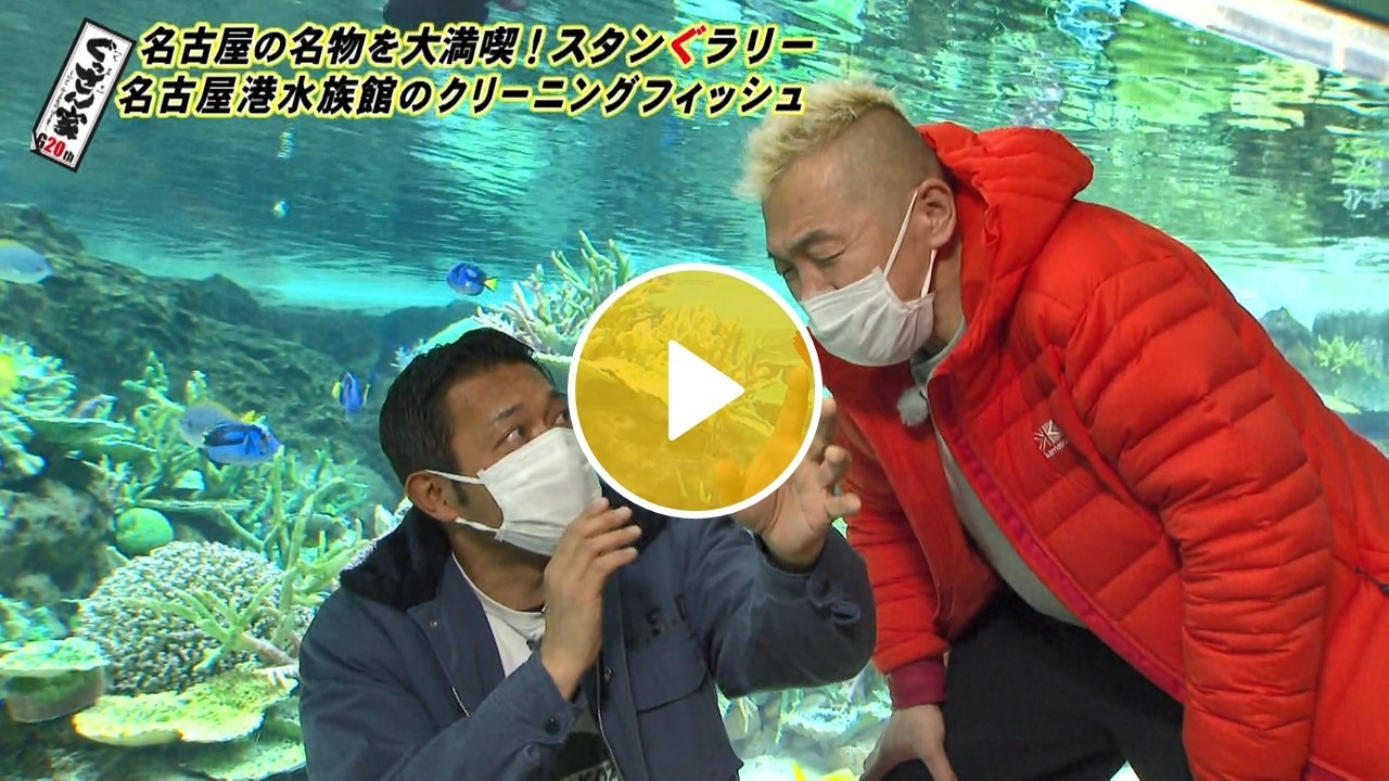 Locipoで動画を見る