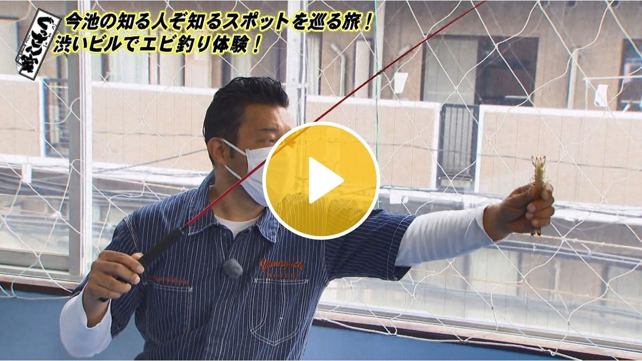 Locipoで動画を見る