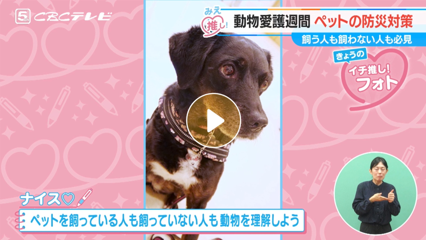 Locipoで動画を見る