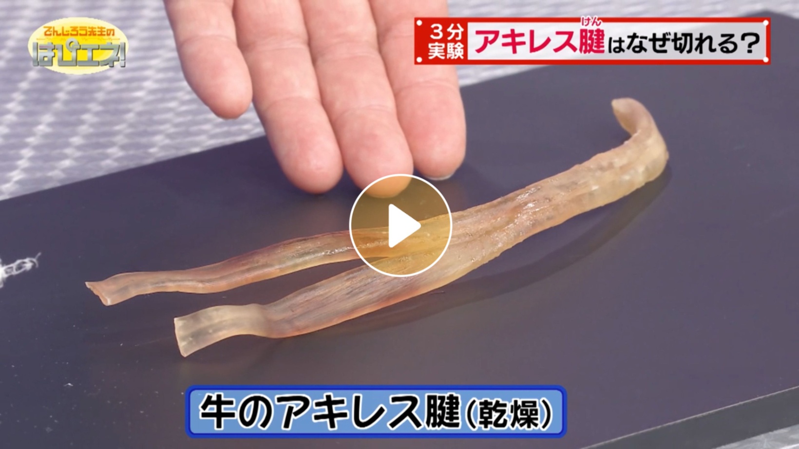 Locipoで動画を見る