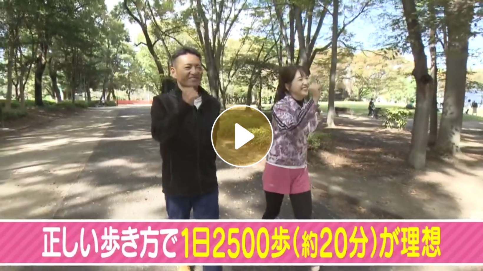 Locipoで動画を見る