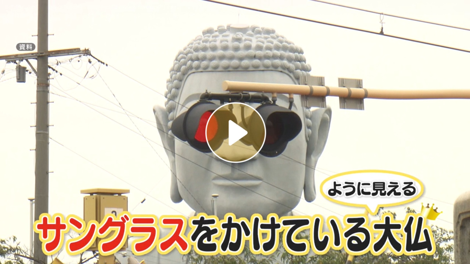 Locipoで動画を見る