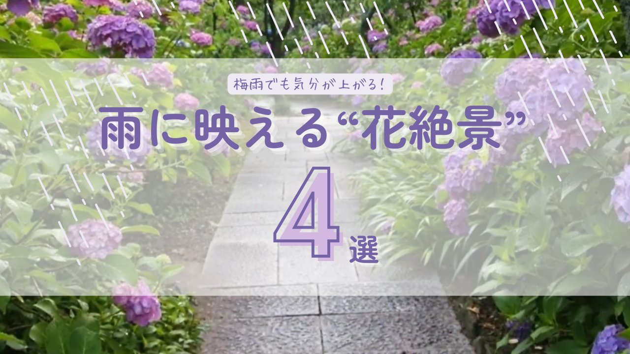 雨花ページ 愛知・三重】梅雨でも気分が上がる！雨に映える“花絶景” | おでかけ