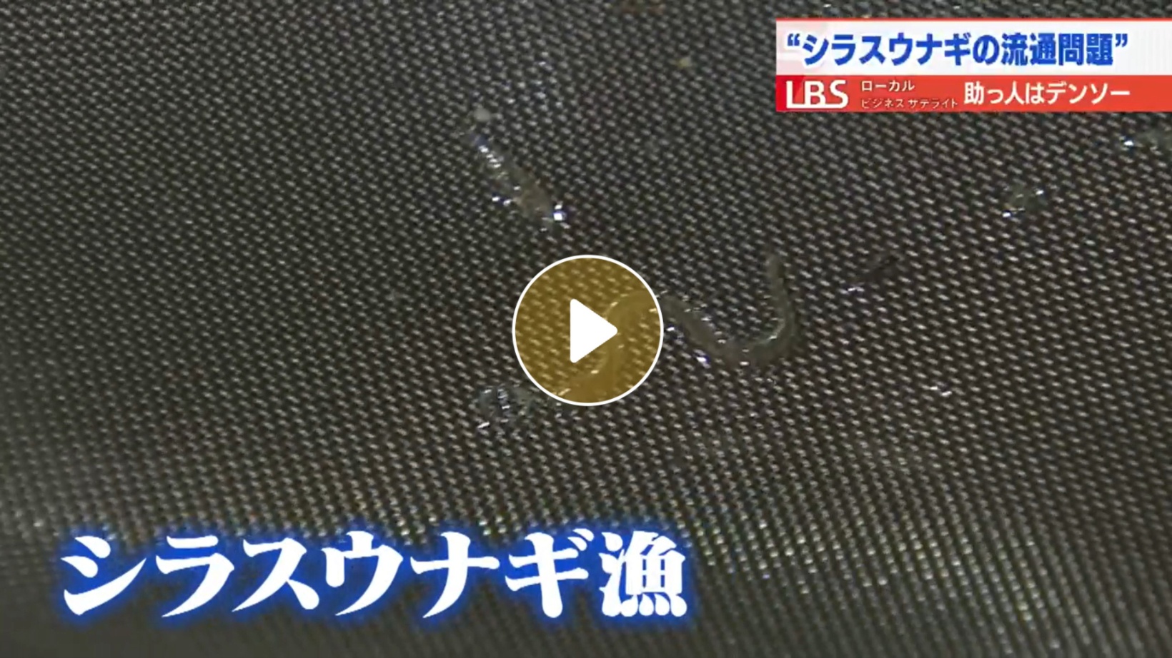 Locipoで動画を見る