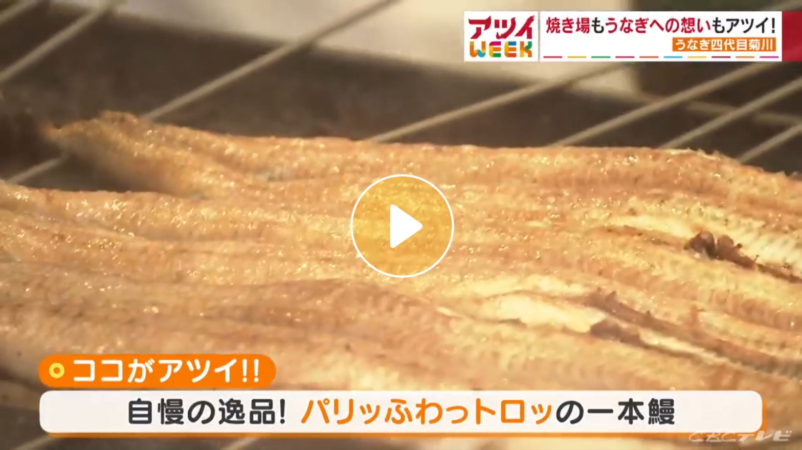 Locipoで動画を見る