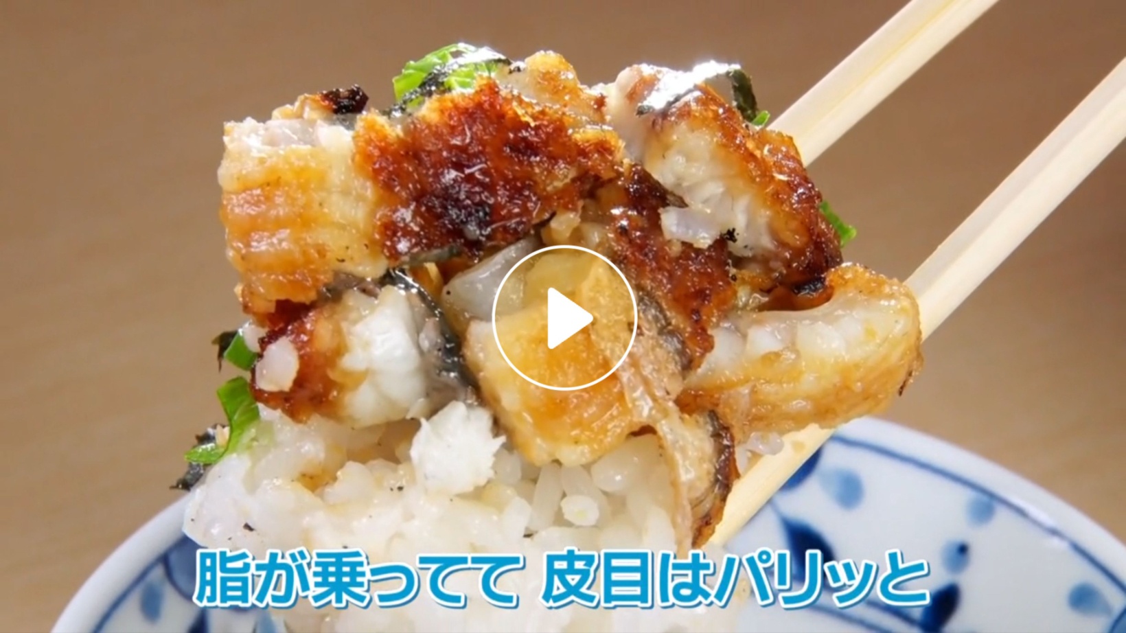 Locipoで動画を見る