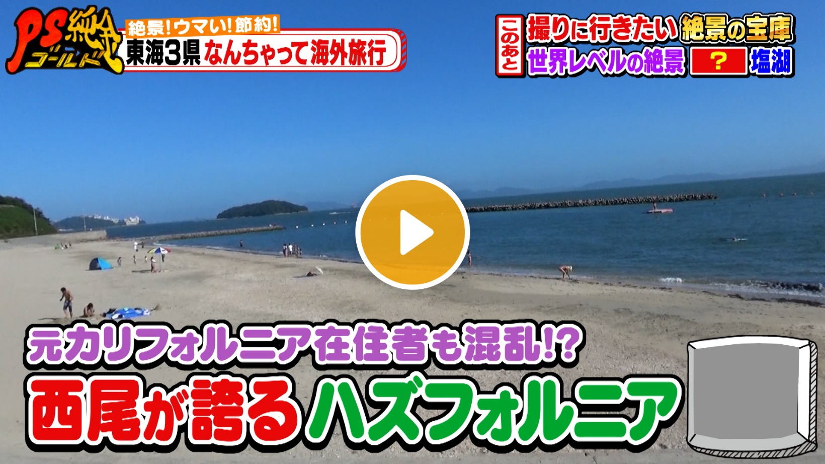 Locipoで動画を見る