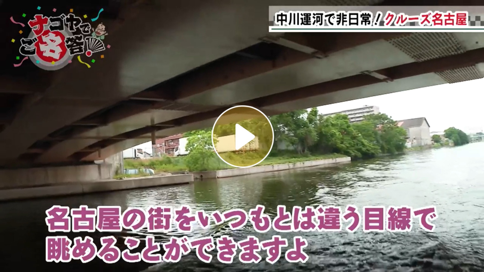 Locipoで動画を見る