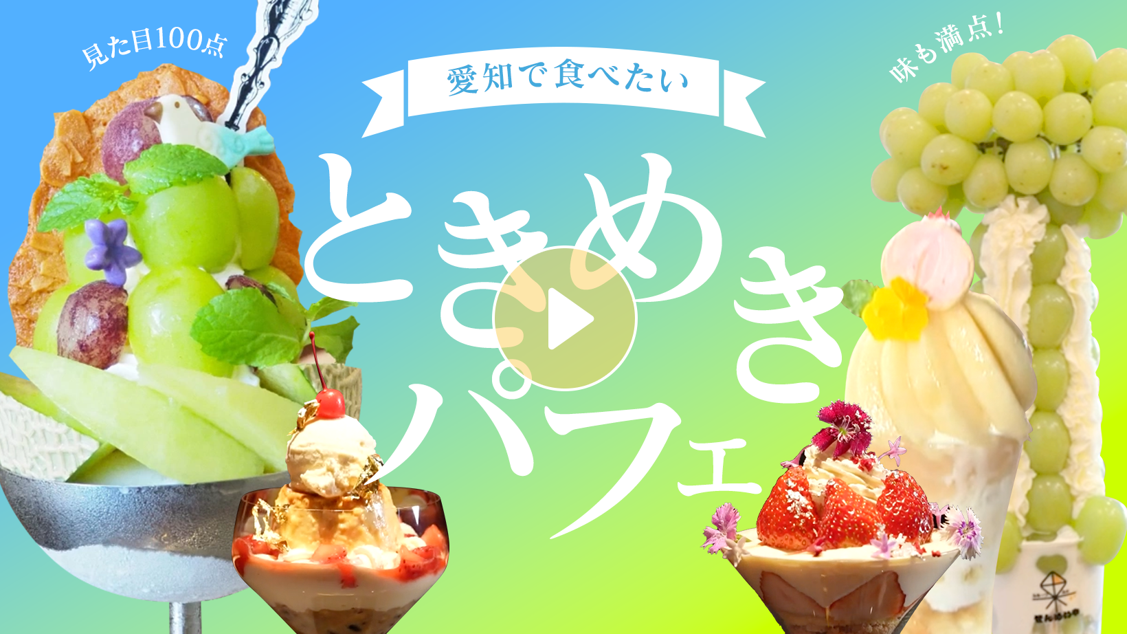 Locipoで動画を見る