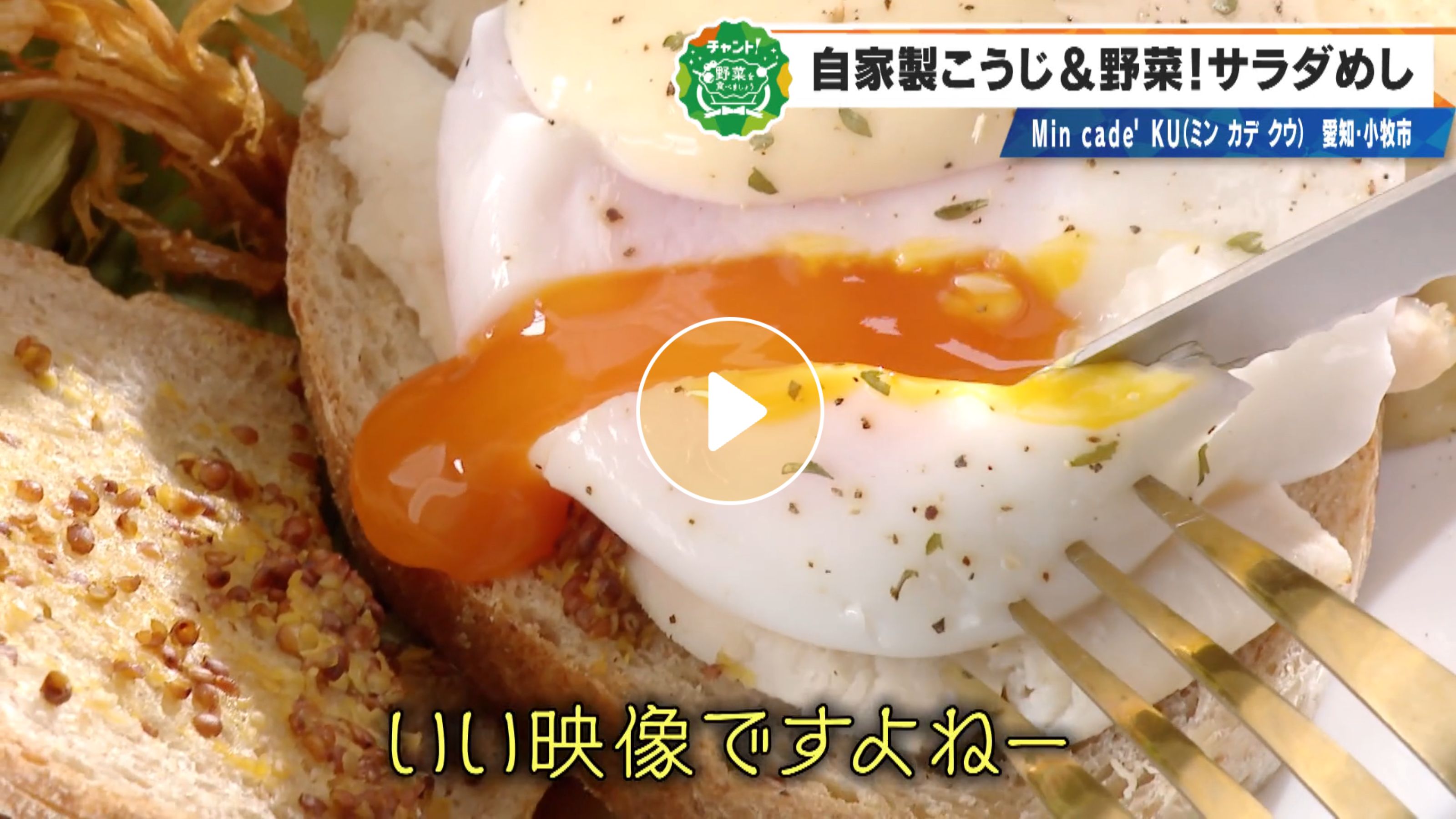 Locipoで動画を見る