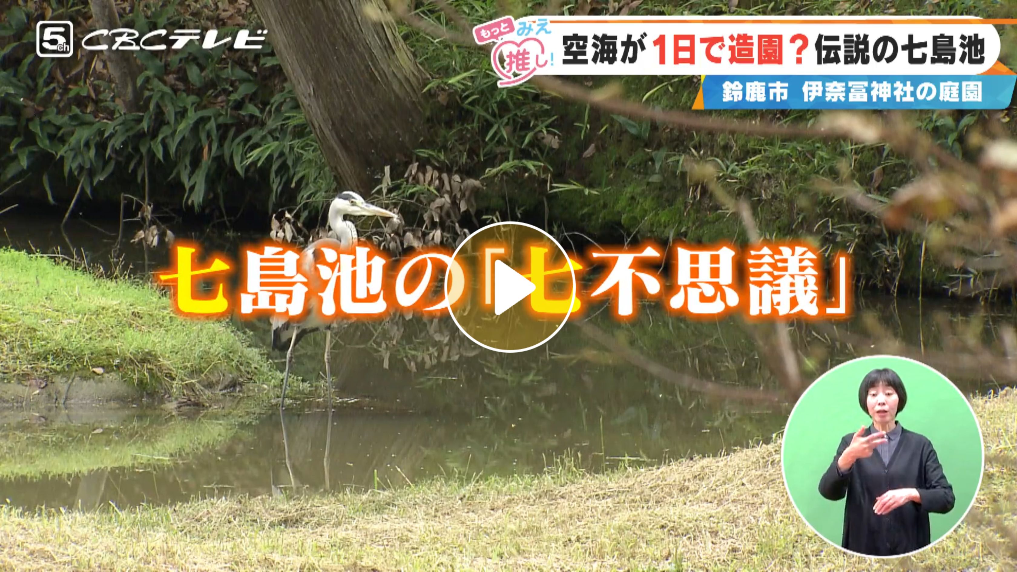 Locipoで動画を見る