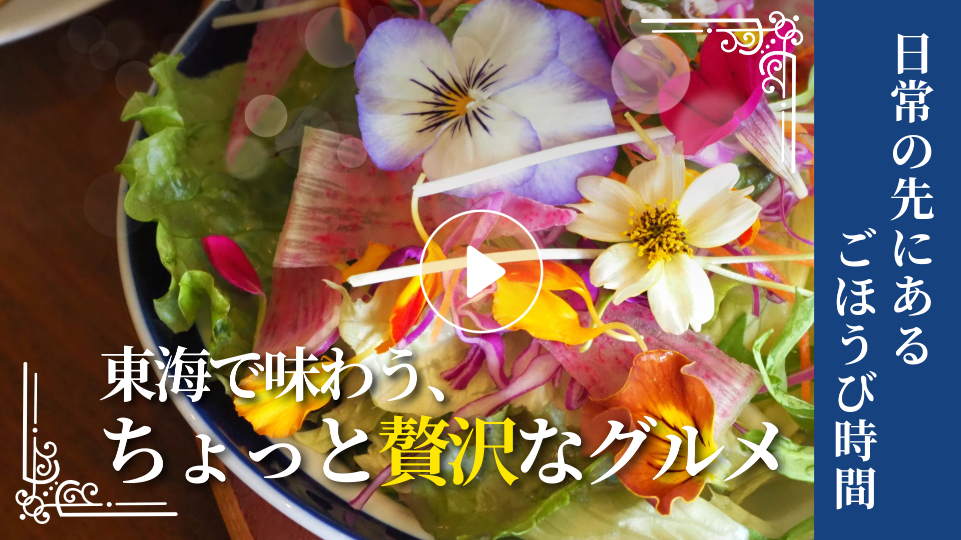 Locipoで動画を見る