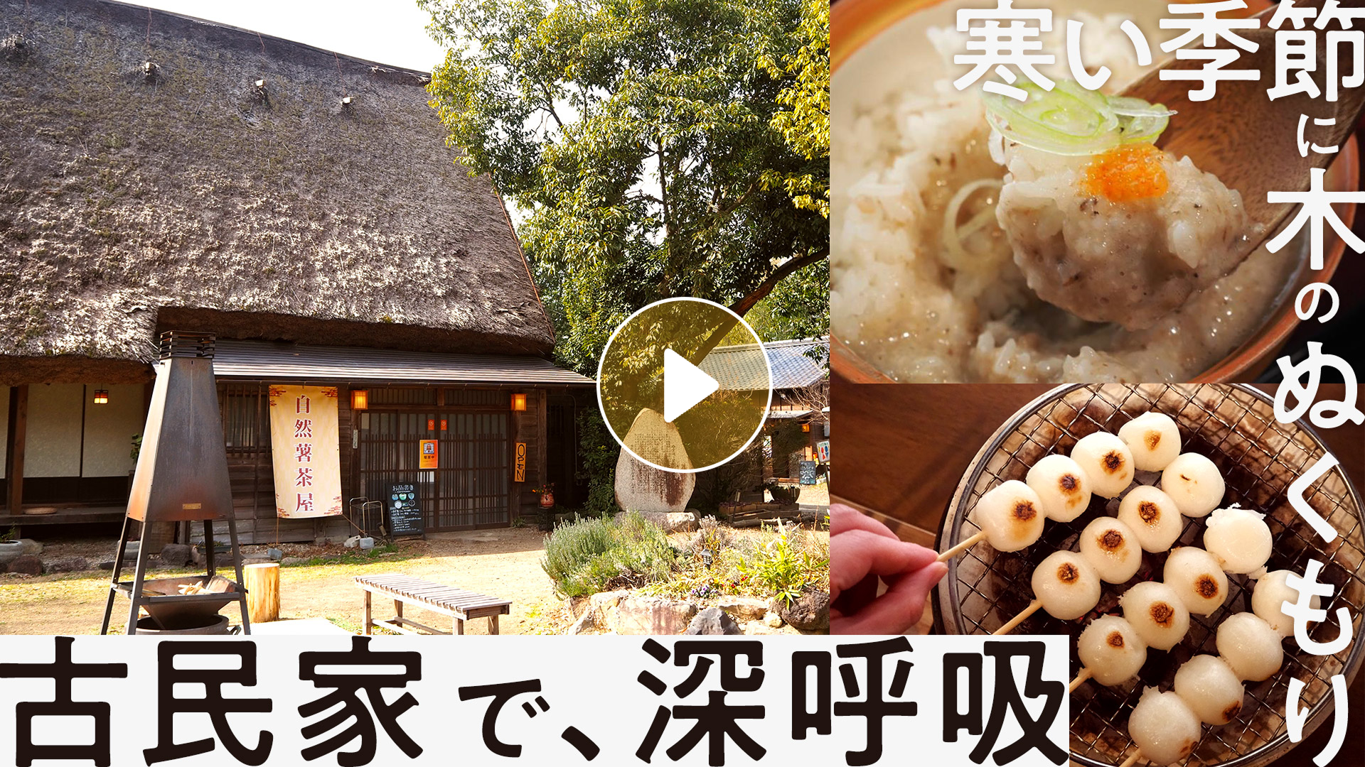 Locipoで動画を見る